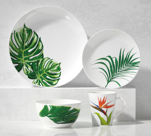Ceramic 16-Piece Dinnerware Set -tropical 2