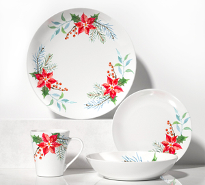 16-Piece Ceramic Dinnerware Set - Christmas Flowers