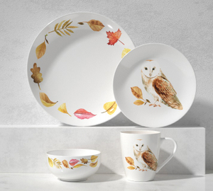 Ceramic 16-Piece Dinnerware Set -barn eagle&leaves